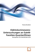 Thomas Wunderer - Elektrolumineszenz-Untersuchungen an GaInN-Facetten-Quantenfilmen