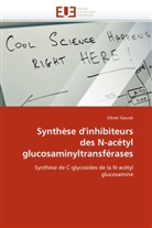 Olivier Gaurat, Gaurat-O - Synthese d inhibiteurs des n
