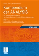 Den, Rober Denk, Robert Denk, Racke, Reinhard Racke - Kompendium der ANALYSIS - Ein kompletter Bachelor-Kurs von Reellen Zahlen zu Partiellen Differentialgleichungen. Bd.1
