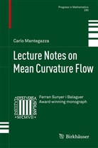 Carlo Mantegazza - Lecture Notes on Mean Curvature Flow
