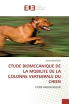 Nicolas Borenstein, Borenstein-N - Etude biomecanique de la mobilite