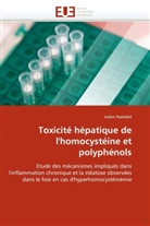 Julien Hamelet, Hamelet-J - Toxicite hepatique de l