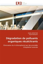 Hayet Benbachir, Collectif, Malik MOKHTARI, Malika Mokhtari - Degradation de polluants