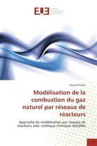 Vincent Fichet, Fichet-V - Modelisation de la combustion du