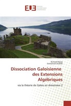 Emmanuel Andréo, COLLECTIF, Richar Massy, Richard Massy - Dissociation galoisienne des