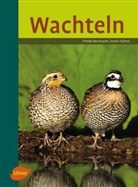 Friede Bernhardt, Friedel Bernhardt, Friedl Bernhardt, Armin Kühne - Wachteln
