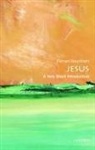 Richard Bauckham, Richard (Emeritus Professor of New Testament Studies Bauckham, Bauckham Richard - Jesus