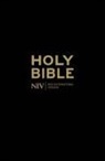 New International Version, New International Version - Holy Bible