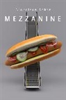 Nicholson Baker, Baker Nicholson - The Mezzanine