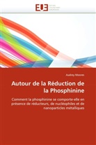 Audrey Moores, Moores-A - Autour de la reduction de la
