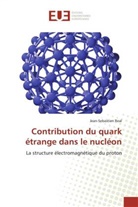 Jean-Sebastien Real, Real-j - Contribution du quark etrange