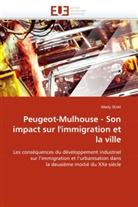 Medy Sejai, Sejai-M - Peugeot mulhouse son impact sur l