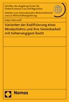 Katja Haberzettl - Varianten der Kodifizierung eines Mindestlohns und ihre Vereinbarkeit mit höherrangigem Recht