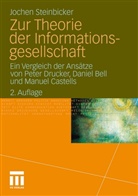 Jochen Steinbicker - Zur Theorie der Informationsgesellschaft