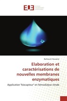 Barhoumi Houssine, Houssine-B - Elaboration et caracterisations
