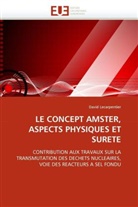 David Lecarpentier - LE CONCEPT AMSTER, ASPECTS PHYSIQUES ET SURETE