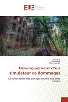 Collectif, Olivie Deck, Olivier Deck, Al Saeidi, Ali Saeidi, Thierry Verdel - Developpement d un simulateur de
