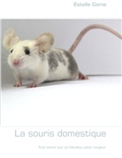 Estelle Corne - La souris domestique