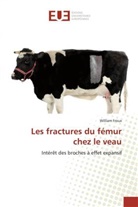 William Froux, Froux-W - Les fractures du femur chez le veau