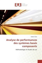 Nabila Salmi, Salmi-N - Analyse de performances des