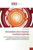 Denis Kerdraon, Kerdraon-D - Simulation d un reacteur