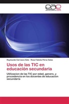 Raymund Carrasco Soto, Raymundo Carrasco Soto, Rosa Fabiola Pérez Salas - Usos de las TIC en educación secundaria