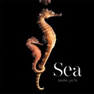 Mark Laita, Mark Laita, Laita Mark - Sea