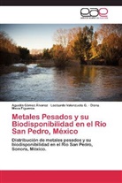 Agustí Gómez Álvarez, Agustín Gómez Álvarez, Meza, Diana Meza Figueroa, Leobard Valenzuela G, Leobardo Valenzuela G... - Metales Pesados y su Biodisponibilidad en el Río San Pedro, México