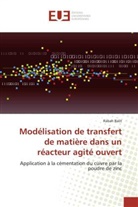 Rabah BALIT, Balit-R - Modelisation de transfert de