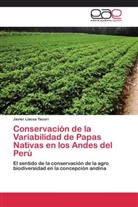Javier Llacsa Tacuri - Conservación de la Variabilidad de Papas Nativas en los Andes del Perú