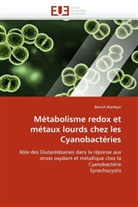Benoit Marteyn, Marteyn-B - Metabolisme redox et metaux