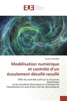 Zouhaier Mehrez, Mehrez-Z - Modelisation numerique et