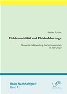 Bastian Schuler - Elektromobilität und Elektrofahrzeuge: Ökonomische Bewertung des Marktpotenzials im Jahr 2020