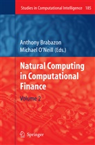 Anthon Brabazon, Anthony Brabazon, O'Neill, O'neill, Michael O'Neill - Natural Computing in Computational Finance. Vol.2