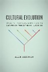 Alex Mesoudi, Mesoudi Alex - Cultural Evolution