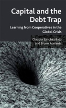C. Bajo, Claudi Bajo, Claudia Bajo, Claudia Sanchez Bajo, Claudia Sanchez Roelants Bajo, Bruno Roelants Du Vivier... - Capital and the Debt Trap