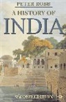 Peter Robb - A History of India