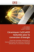 Collectif, Jacques G NOUDEM, Jacques G. Noudem, Mouss GOMINA, Moussa Gomina, Dris KENFAUI... - Ceramiques ca3co4o9 texturees