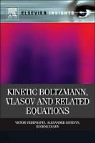 Eugene Dulov, Alexander Sinitsyn, Victor Vedenyapin - Kinetic Boltzmann, Vlasov and Related Equations