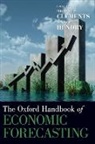 Michael P. Clements, Michael P. (Professor of Economics Clements, Michael P. Hendry Clements, Michael P. Clements, Clements Michael P., David F. Hendry... - Oxford Handbook of Economic Forecasting