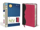 Not Available (NA), Zondervan, Zondervan, Zondervan Bibles - NIV Study Bible