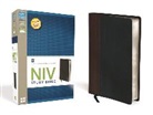 Not Available (NA), Zondervan, Zondervan, Zondervan Bibles - NIV Study Bible