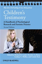 Carmit Katz, David J. La Rooy, Lamb, ME Lamb, Michael E. Lamb, Michael E. (EDT)/ La Rooy Lamb... - Children''s Testimony