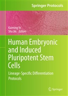 JIN, Jin, Sha Jin, Kaimin Ye, Kaiming Ye - Human Embryonic and Induced Pluripotent Stem Cells