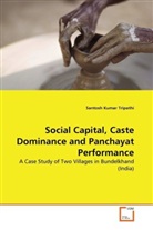 Santosh Kumar Tripathi - Social Capital, Caste Dominance and Panchayat Performance