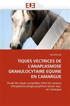 Elsa MOULIN, Moulin-e - Tiques vectrices de l anaplasmose