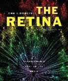 John E. Dowling, Dowling John E. - Retina