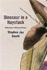 Stephen Jay Gould - Dinosaur in a Haystack