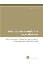 David Werner - Identitätskonstruktion in Jugendszenen
