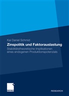 Kai D. Schmid, Kai Daniel Schmid - Zinspolitik und Faktorauslastung